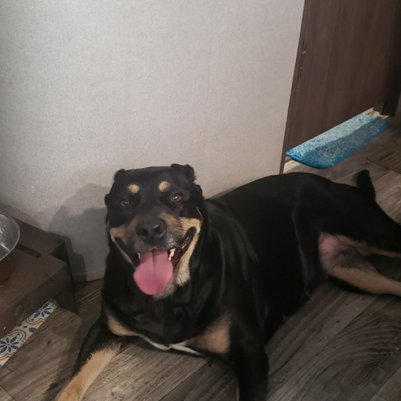 ONLIVE NOW COME JOIN - Picture 4 of 6